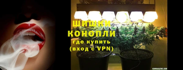 бошки Верея