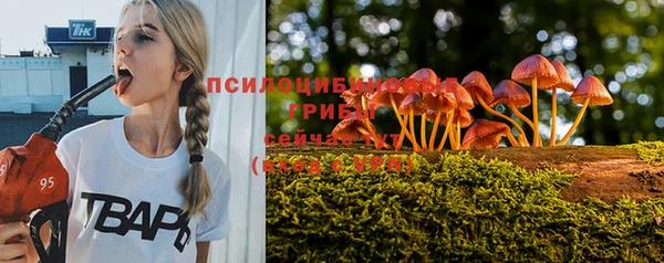 мескалин Верхний Тагил