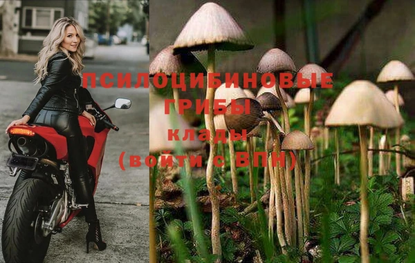 мескалин Верхний Тагил